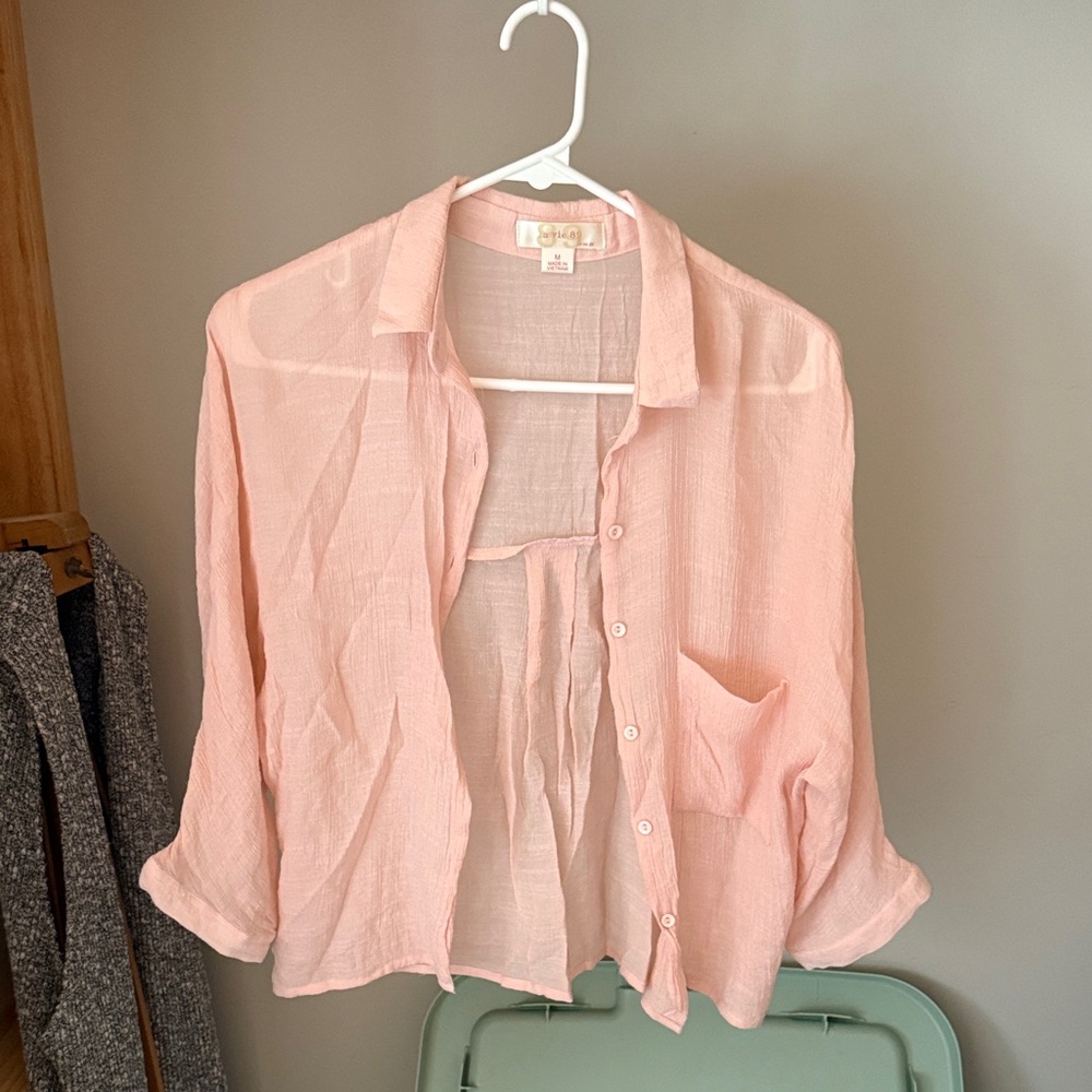 Light Pink Sheer Button-Up Blouse